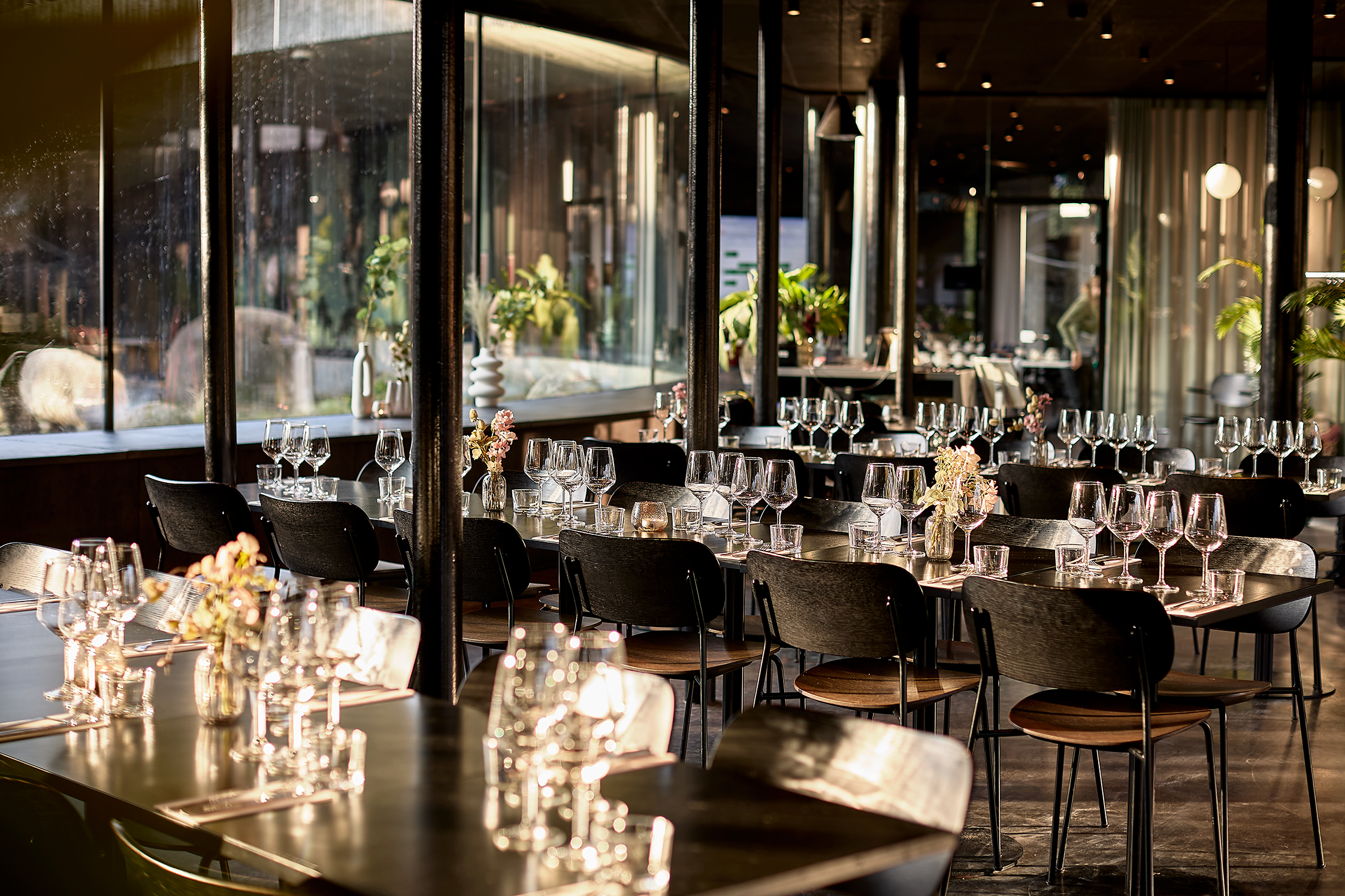 Dinnerevent at Bistro Ailu